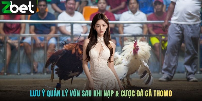 Lưu ý quản lý vốn sau khi nạp và cược đá gà Thomo